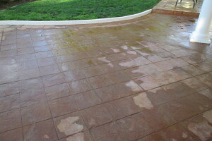 Landscaping Pressure Washing Driveway Patio - Landscaping