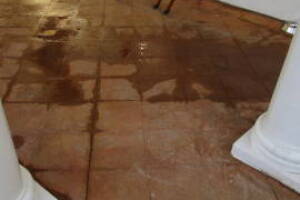 Landscaping Pressure Washing Driveway Patio - Landscaping