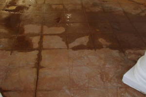 Landscaping Pressure Washing Driveway Patio - Landscaping