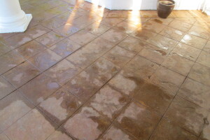 Landscaping Pressure Washing Driveway Patio - Landscaping