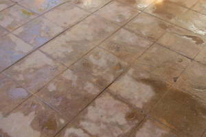 Landscaping Pressure Washing Driveway Patio - Landscaping