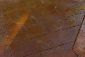 Landscaping Pressure Washing Driveway Patio - Landscaping