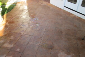 Landscaping Pressure Washing Driveway Patio - Landscaping