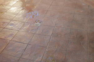 Landscaping Pressure Washing Driveway Patio - Landscaping