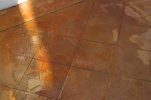 Landscaping Pressure Washing Driveway Patio - Landscaping