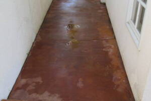 Landscaping Pressure Washing Driveway Patio - Landscaping