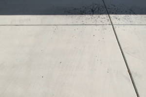 Landscaping Pressure Washing Driveway Spots - Landscaping
