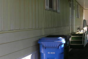 Landscaping Pressure Washing Mobile Home - Landscaping