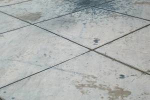 Landscaping Pressure Washing Oil Yard Debris - Landscaping