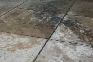 Landscaping Pressure Washing Oil Yard Debris - Landscaping
