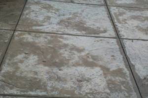 Landscaping Pressure Washing Oil Yard Debris - Landscaping