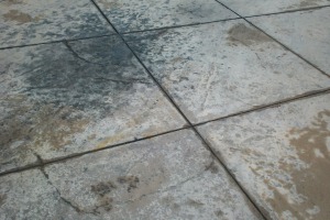 Landscaping Pressure Washing Oil Yard Debris - Landscaping