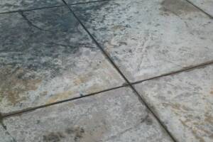 Landscaping Pressure Washing Oil Yard Debris - Landscaping