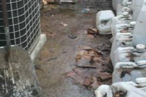 Landscaping Pressure Washing Oil Yard Debris - Landscaping