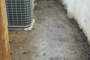 Landscaping Pressure Washing Oil Yard Debris - Landscaping