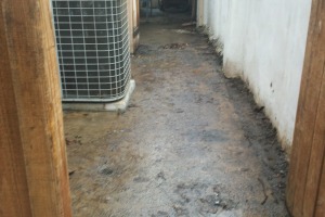 Landscaping Pressure Washing Oil Yard Debris - Landscaping