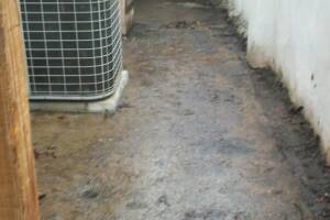 Landscaping Pressure Washing Oil Yard Debris - Landscaping