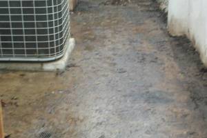 Landscaping Pressure Washing Oil Yard Debris - Landscaping