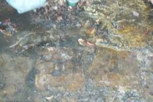 Landscaping Pressure Washing Oil Yard Debris - Landscaping