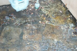 Landscaping Pressure Washing Oil Yard Debris - Landscaping