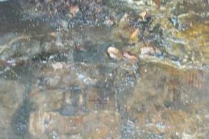 Landscaping Pressure Washing Oil Yard Debris - Landscaping