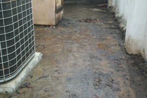 Landscaping Pressure Washing Oil Yard Debris - Landscaping