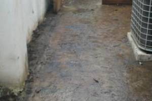 Landscaping Pressure Washing Oil Yard Debris - Landscaping