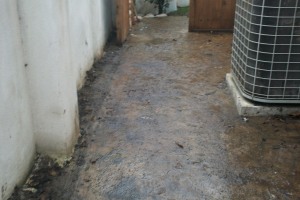 Landscaping Pressure Washing Oil Yard Debris - Landscaping
