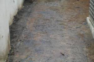 Landscaping Pressure Washing Oil Yard Debris - Landscaping