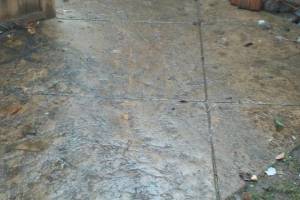 Landscaping Pressure Washing Oil Yard Debris - Landscaping