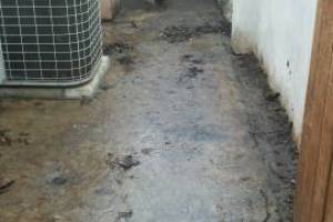 Landscaping Pressure Washing Oil Yard Debris - Landscaping