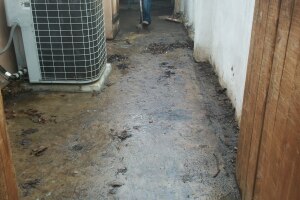 Landscaping Pressure Washing Oil Yard Debris - Landscaping