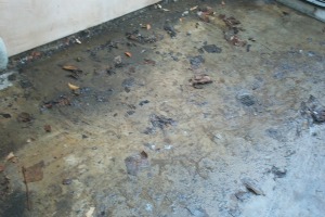 Landscaping Pressure Washing Oil Yard Debris - Landscaping