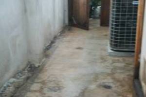 Landscaping Pressure Washing Oil Yard Debris - Landscaping