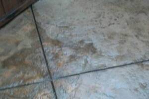 Landscaping Pressure Washing Oil Yard Debris - Landscaping