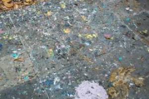 Landscaping Pressure Washing Paint Drops - Landscaping