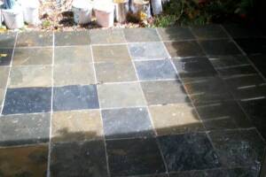 Landscaping Pressure Washing Paint Drops - Landscaping