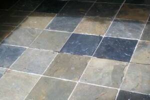 Landscaping Pressure Washing Paint Drops - Landscaping