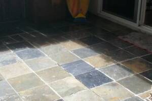 Landscaping Pressure Washing Paint Drops - Landscaping