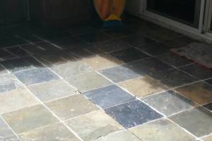 Landscaping Pressure Washing Paint Drops - Landscaping