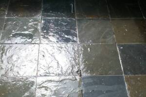 Landscaping Pressure Washing Paint Drops - Landscaping