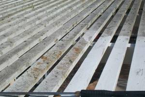 Landscaping Pressure Washing Patio Cover - Landscaping