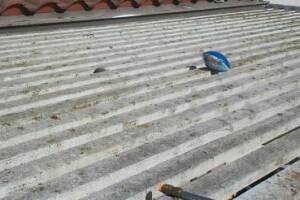 Landscaping Pressure Washing Patio Cover - Landscaping