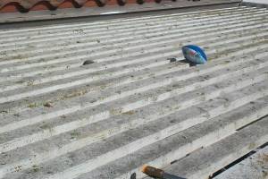 Landscaping Pressure Washing Patio Cover - Landscaping