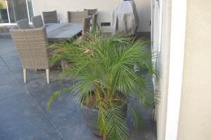 Landscaping Pressure Washing Patio Furniture - Landscaping