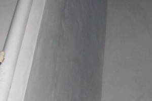 Landscaping Pressure Washing Walls Spiderwebs - Landscaping