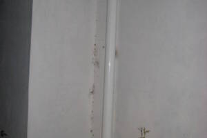 Landscaping Pressure Washing Walls Spiderwebs - Landscaping