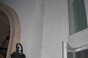 Landscaping Pressure Washing Walls Spiderwebs - Landscaping
