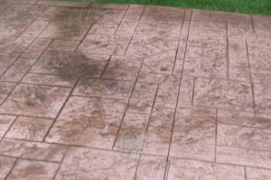 Landscaping Pressure Washing Walls Spiderwebs - Landscaping