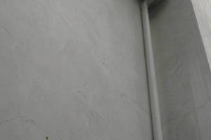 Landscaping Pressure Washing Walls Spiderwebs - Landscaping